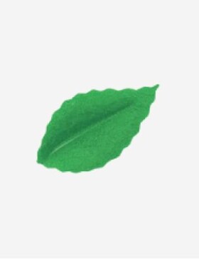 Dortisimo Dekorace z jedlého papíru Lístky zelené (400 ks)