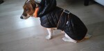 Coldy bunda pro psa s kapucí Barva: Černo-modrá, Délka zad (cm): 30, Obvod hrudníku: 26 - 40 cm