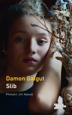 Slib - Damon Galgut - e-kniha