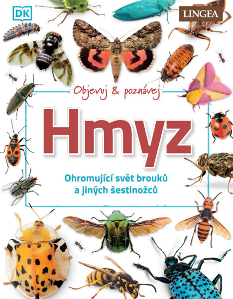 Objevuj a poznávej Hmyz - Ohromující svět brouků a jiných šestinožců - kolektiv autorů
