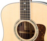 Taylor Legacy 810e