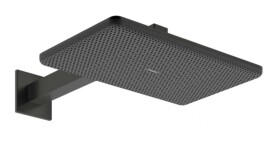 HANSGROHE - Raindance Alive Q Hlavová sprcha, 21x34 cm, 2 proudy, EcoSmart, kartáčovaný černý chrom 24551340