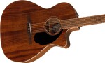 Fender Newporter Special