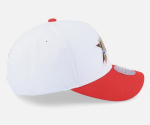 Mitchell & Ness Pánská kšiltovka Philadelphia 76ers NBA Team 2 Tone 2.0 Pro Snapback HWC
