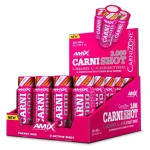 Amix CarniShot 3000 20 x 60 ml mango (15612)