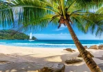 Castorland 53827 Dovolená na Seychelách