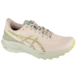 Boty Asics GT-1000 13 TR M 1011C043-300 42