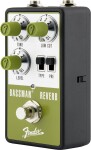 Fender Bassman Reverb