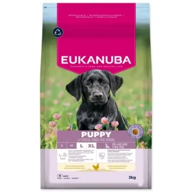 Eukanuba Puppy Large rich in fresh chicken 3kg / granule pro štěňata / pro velká plemena (1724-202478)