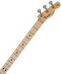Loog x Fender Telecaster Seafoam Green