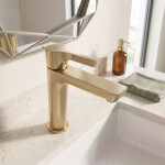 REA - Umyvadlová baterie PREMIUM Maxim Brush Gold Low REA-B8938