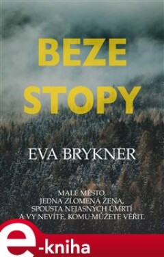 Beze stopy - Eva Brykner e-kniha