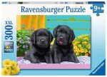 Ravensburger 129508 Roztomilá mláďata 300 dílků