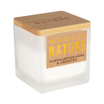 Malá svíčka - Pomerančová kůra a hřebíček - Albi