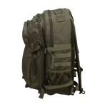 Bushman Outdoorový batoh Bolsa, zelený 40l UNI
