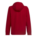 Bunda adidas Entrada 22 All-weather Jr HG6300 116