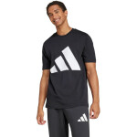 Adidas Essentials Big Logo Single Jersey Tee M JE8945 pánské m