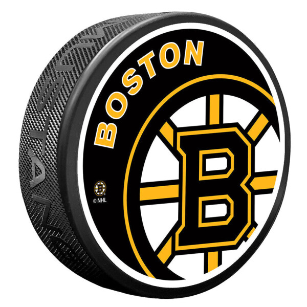 Mustang Puk Boston Bruins NHL Icon
