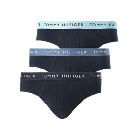 Tommy Hilfiger Wb Brief UM0UM02389 kalhotky