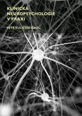 Klinická neuropsychologie v praxi, 1. vydání - Petr Kulišťák