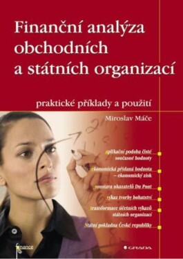 Finanční analýza obchodních a státních organizací - Miroslav Máče - e-kniha