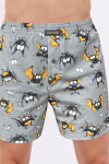 BOXERKY CLASSIC J/25 šedá M