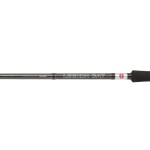 Penn Prut Legion Cat Silver Allround 3m 100-300g