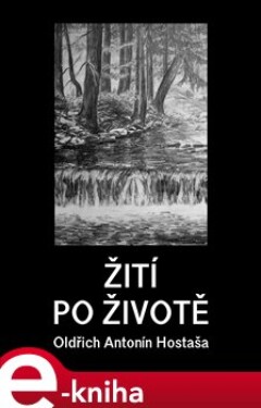 Žití po životě - Oldřich Antonín Hostaša e-kniha