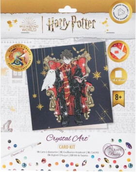 Crystal Art pohlednice - Harry Potter a Hedvika, 18x18cm - EPEE