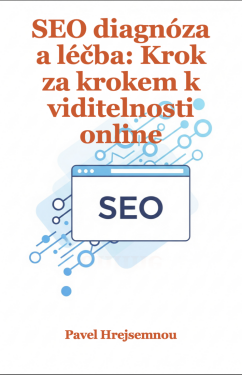 SEO diagnóza a léčba - Pavel Hrejsemnou
