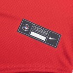 Nike Pánský dres Washington Nationals MLB Alternate Velikost: XL