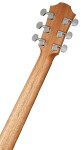Furch Blue Deluxe Gc-SW CNR Active