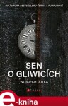 Sen Gliwicích