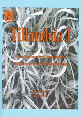 Tillandsia