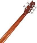 ESP LTD TL-5 NAT