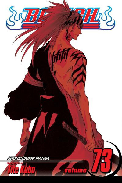 Bleach 73 (anglicky) - Noriaki Kubo