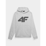 Pánská mikina 4F 4FWMM00TSWSM1464-27M s kapucí bez rozparku 4F 4FWMM00TSWSM1464-27M pánské s