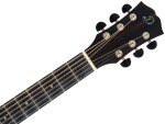 Dowina Danubius DCE-LB-s StagePro