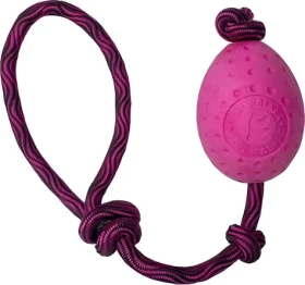 KIWI WALKER Vajíčko Maxi růžová / Hračka pro psy / plovací a házecí / TPR pěna / 8,5 cm (TPR-240)