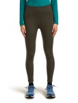 Dámské merino legíny ICEBREAKER Wmns 260 Fastray II 25 High Rise Tights, Dark Loden velikost: S