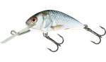 Salmo Wobler Hornet Sinking 6cm - Real Identity Perch,Salmo Wobler Hornet Sinking 6cm - Real Identity Perch