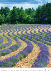 Nástěnný kalendář 2027 Helma Provence