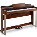 DONNER DDP-200