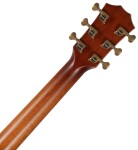 Taylor GT K21e