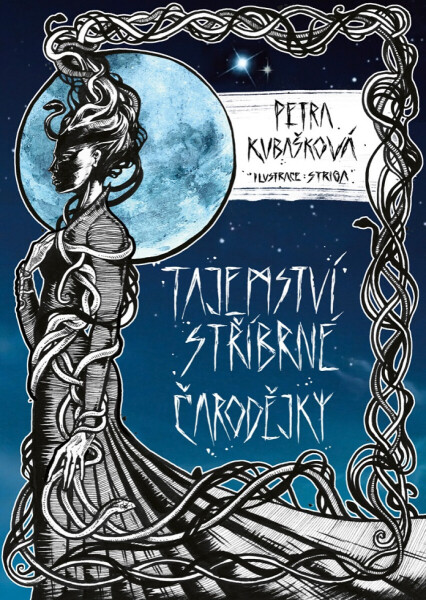 Tajemství stříbrné čarodějky - Petra Kubašková