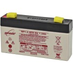 CSB Battery EVX12170 olověný akumulátor 12 V 17 Ah olověný se skelným rounem (š x v x h) 181 x 167 x 76 mm šroubované M5