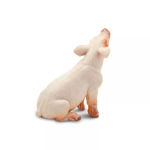 Safari Ltd. Safari Ltd. Sele