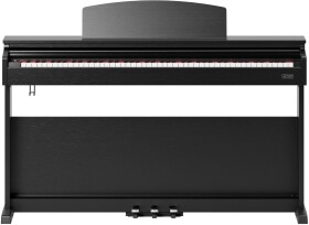 Gewa DP510 black