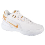Boty Nike LeBron NXXT Gen AMPD FJ1566-103 45