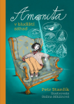 Amonita v bludišti záhad - Petr Stančík